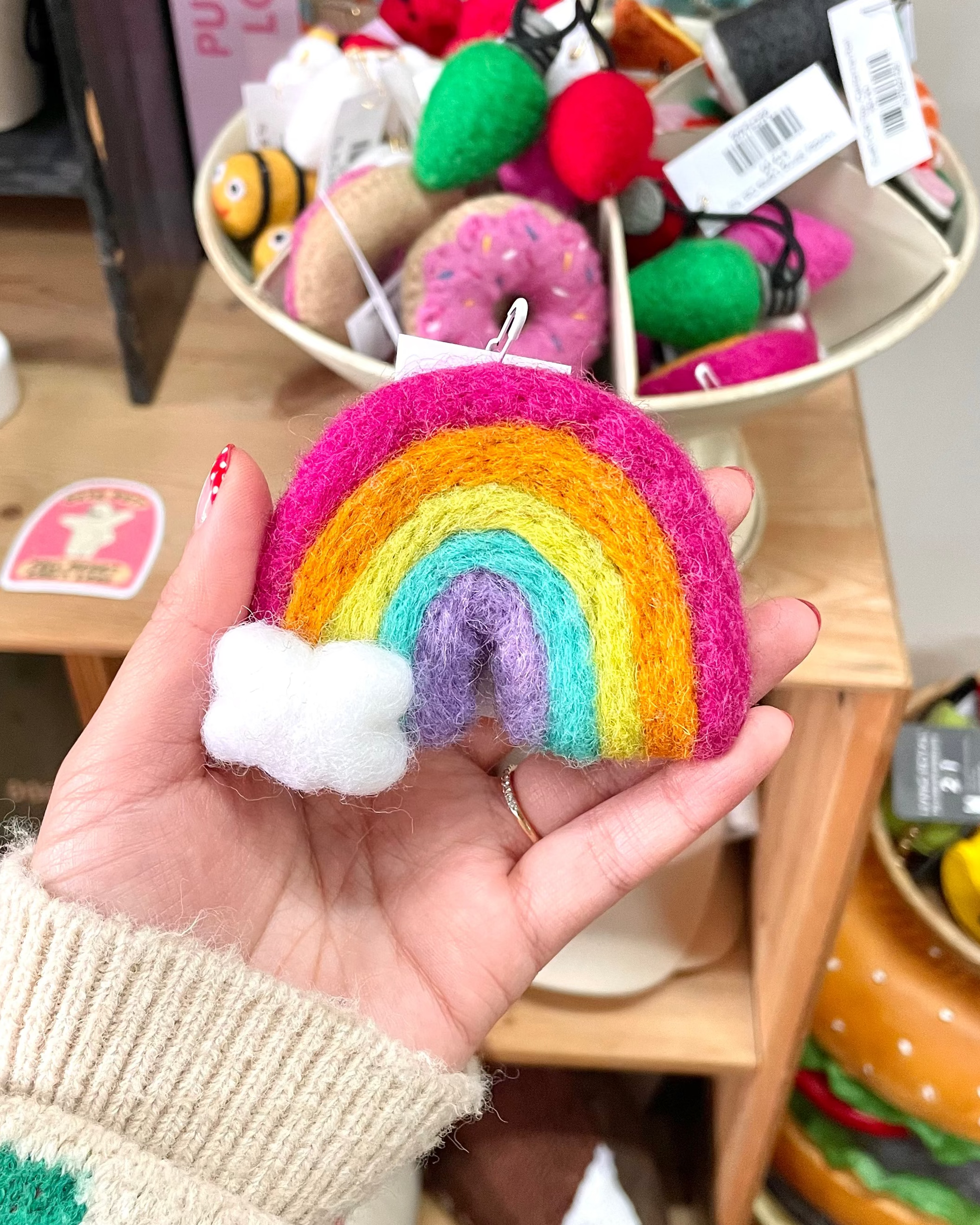 Rainbow Cat Toy