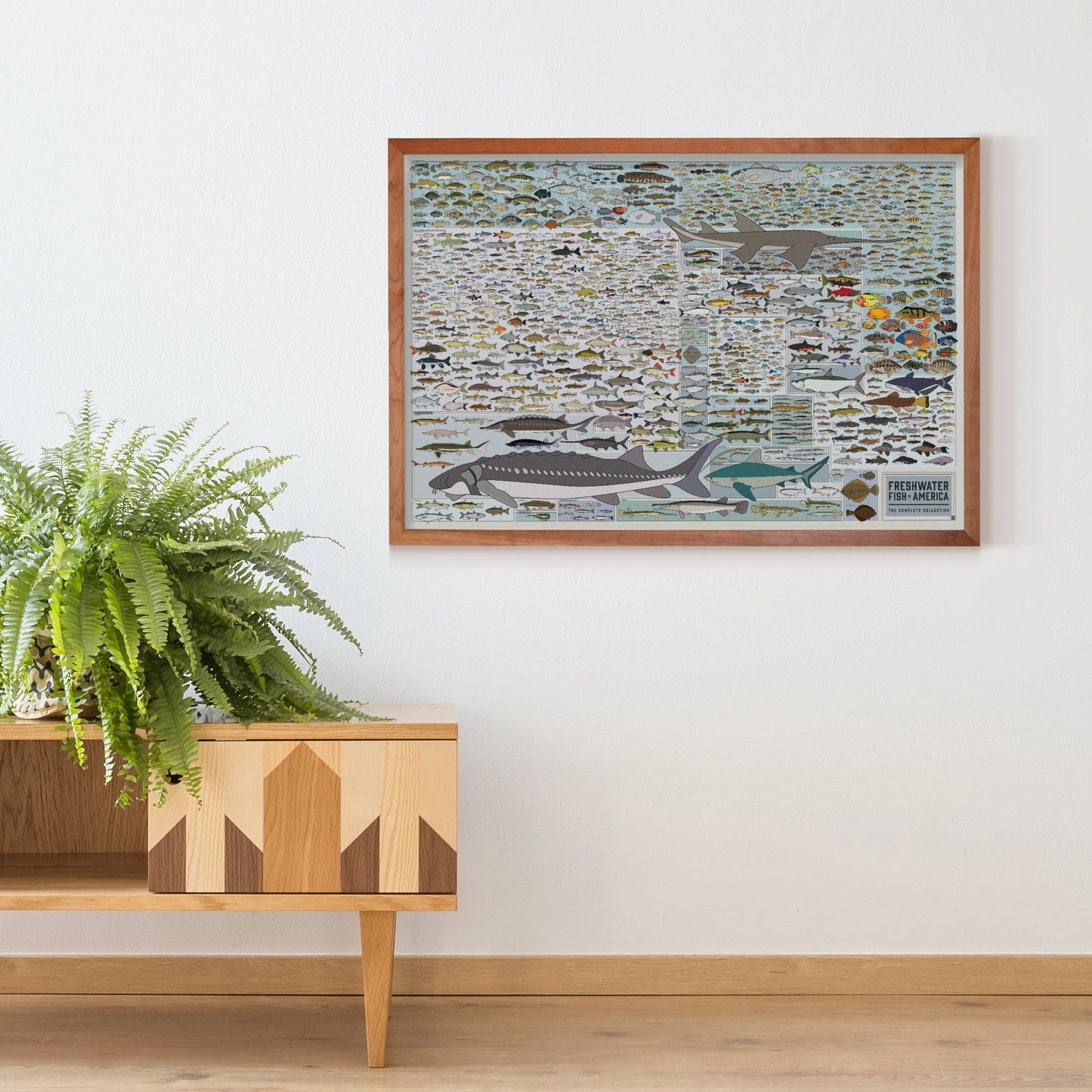 Freshwater Fish of America Art Print - 36"x24"