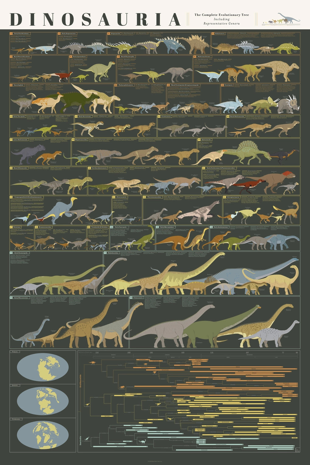 Dinosaur History and Evolution Art Print - 36"x24"