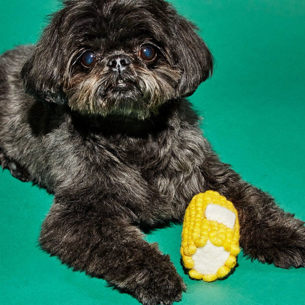 Corn Dog Toy
