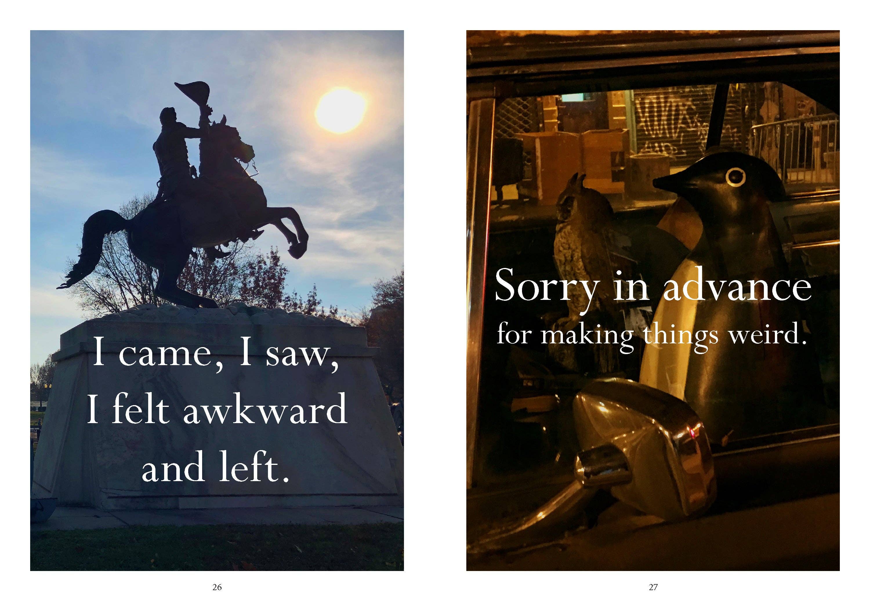 Sorry In Advance For Making Things Weird Book