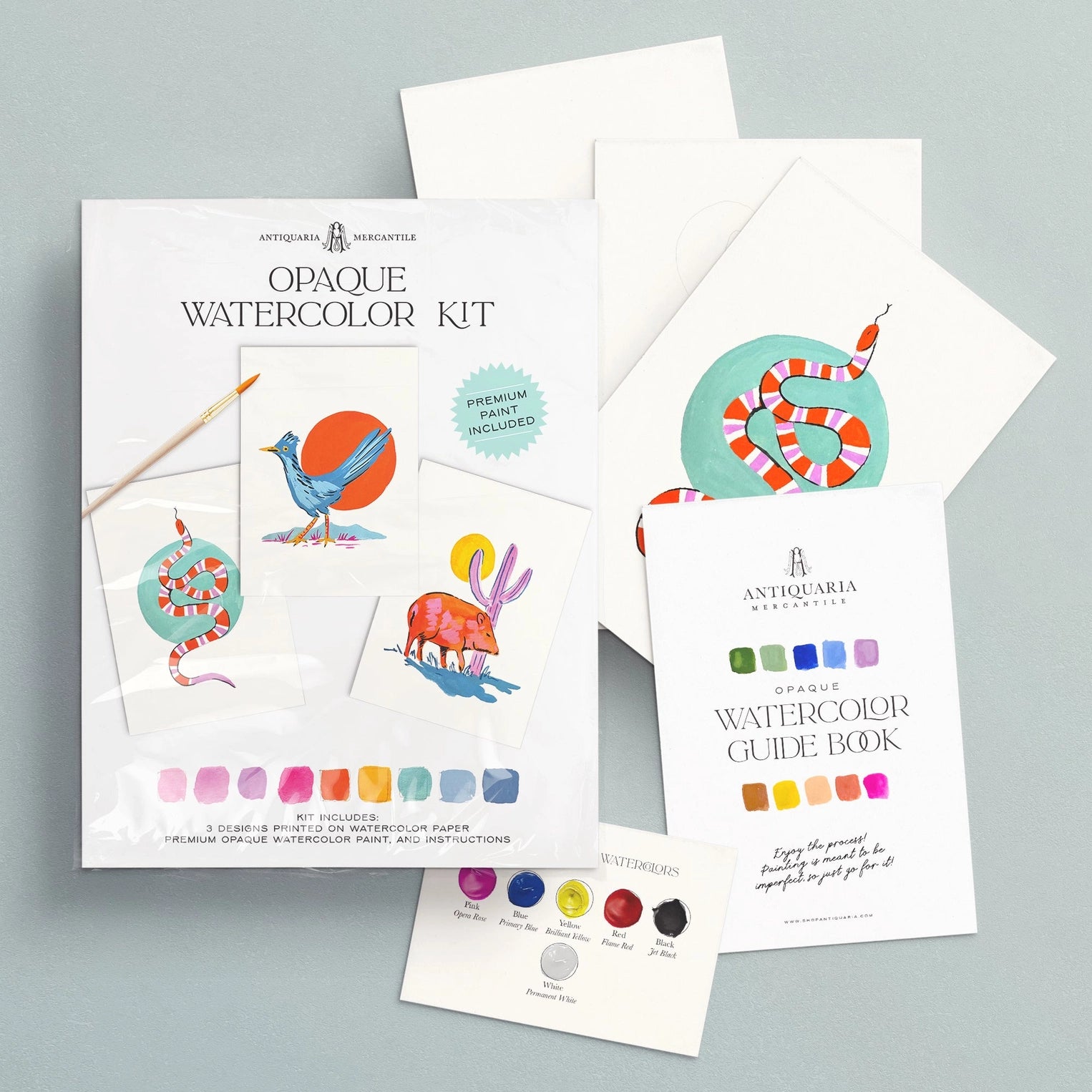 Watercolor Painting Kit : Southwest Animals