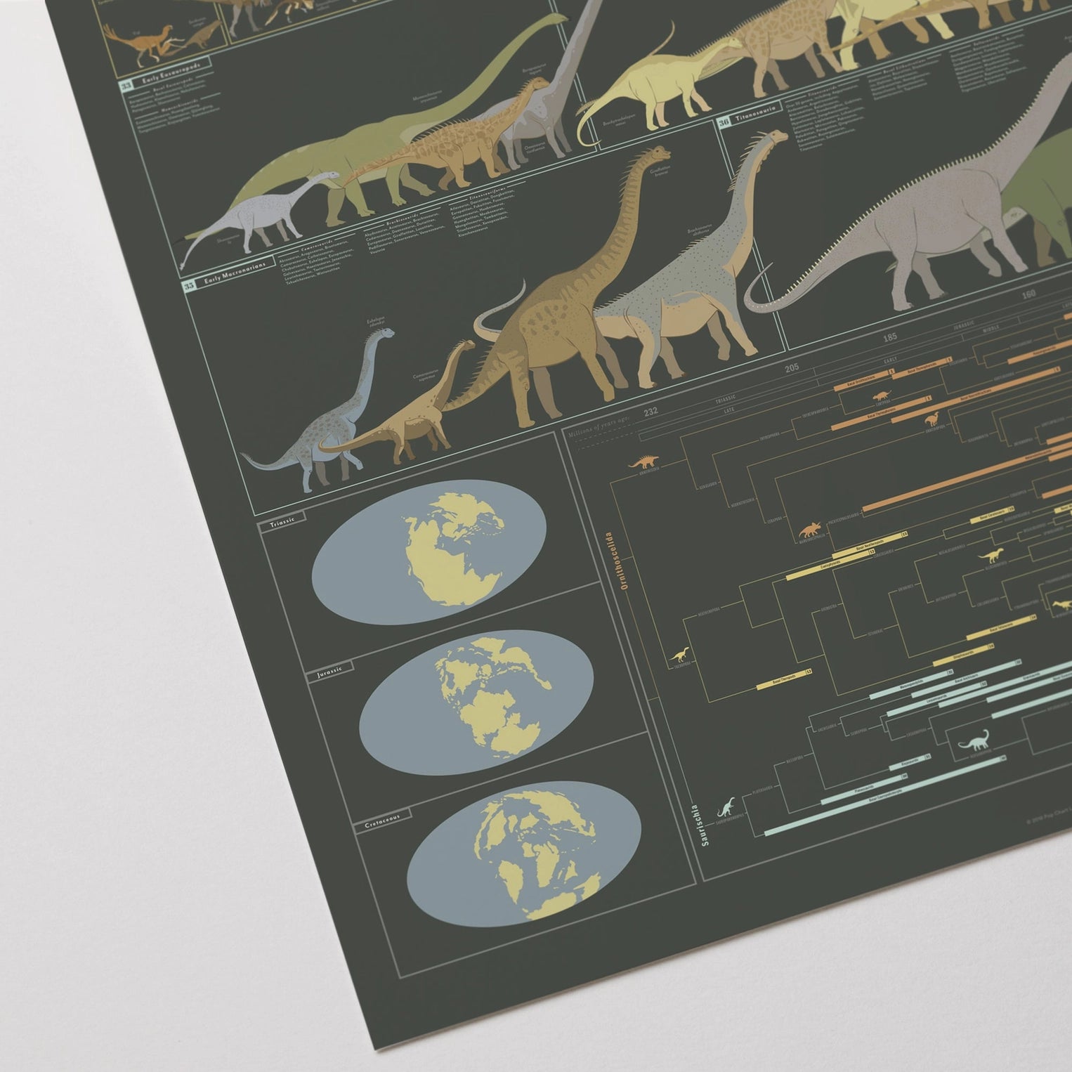 Dinosaur History and Evolution Art Print - 36"x24"