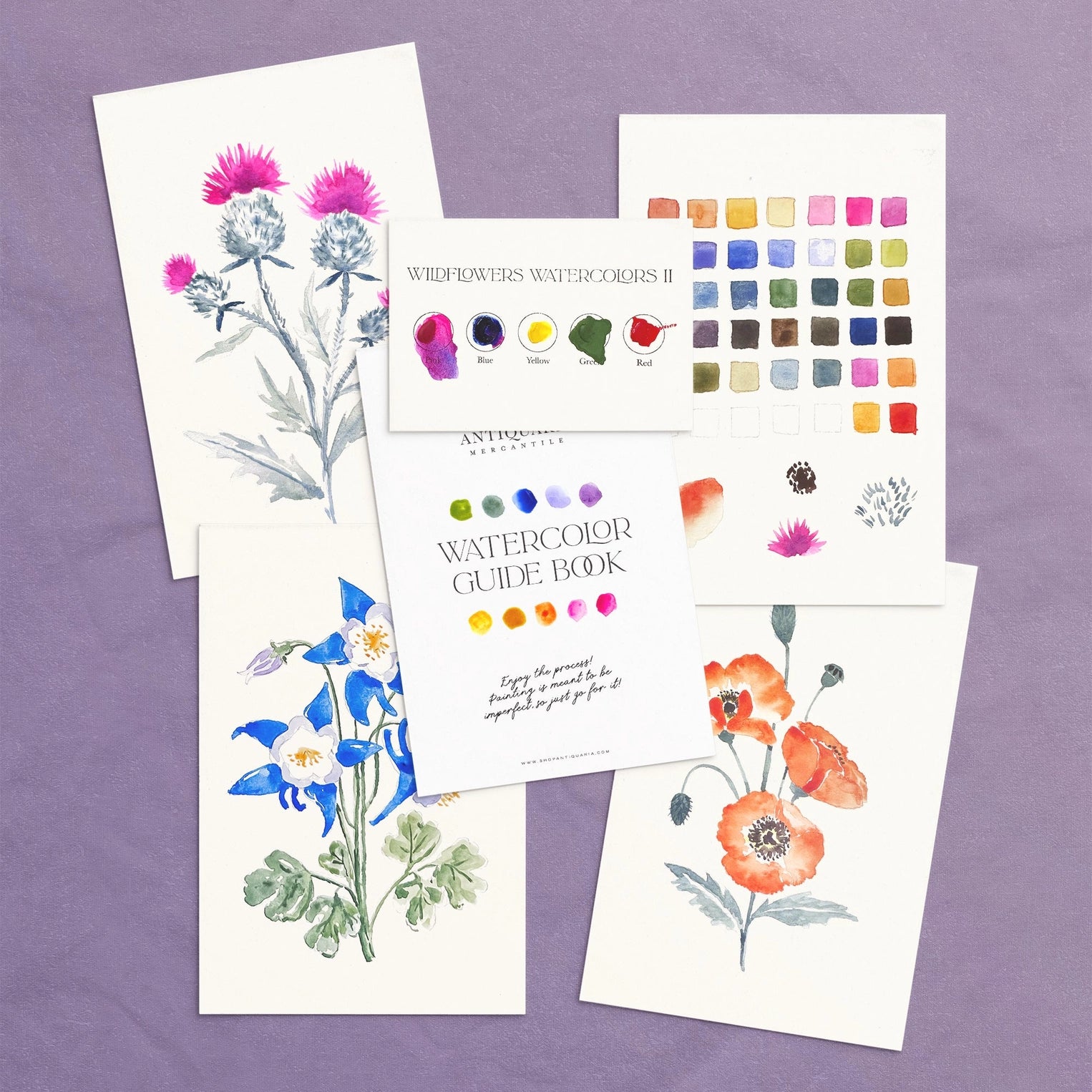 Watercolor Painting Kit : Wildflowers No.2