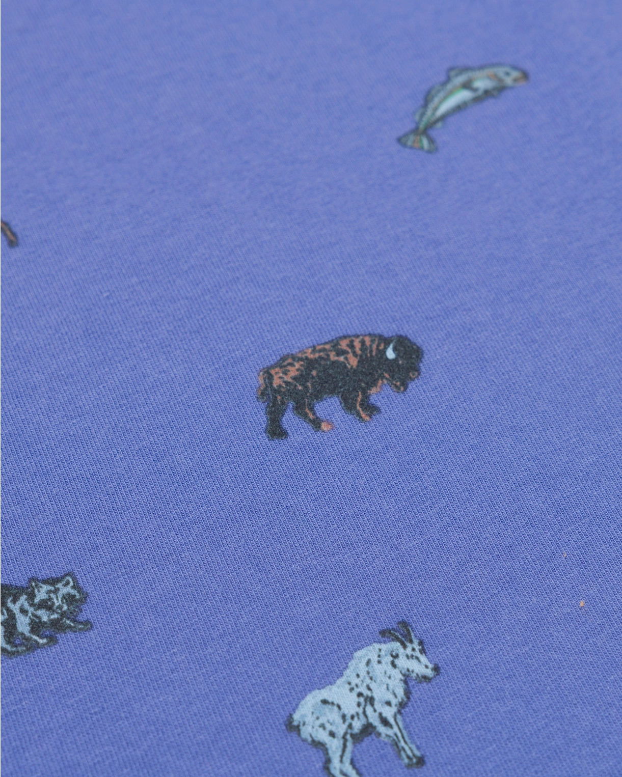 Naturalist Club Boxy Tank Top