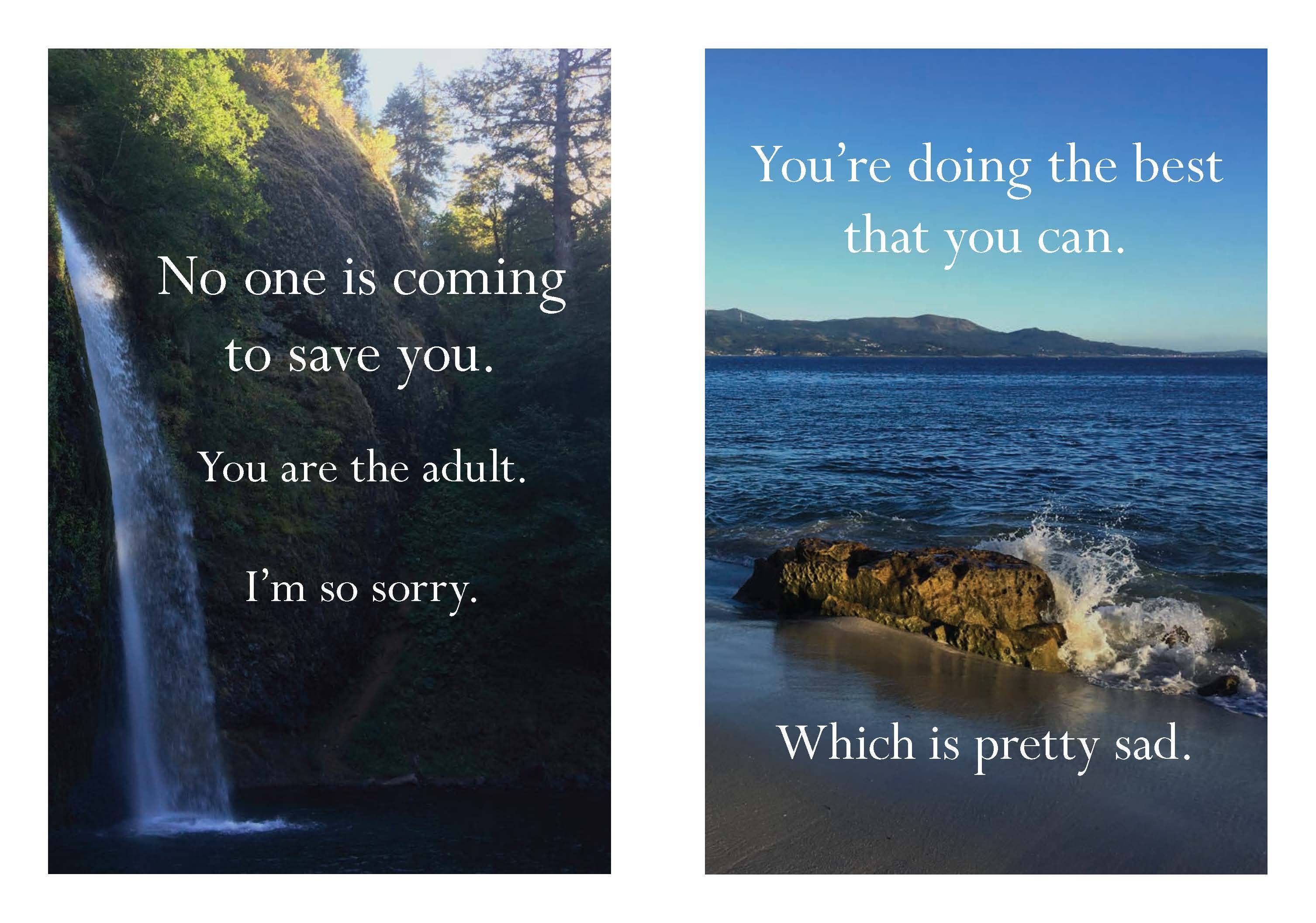 Disappointing Affirmations Book