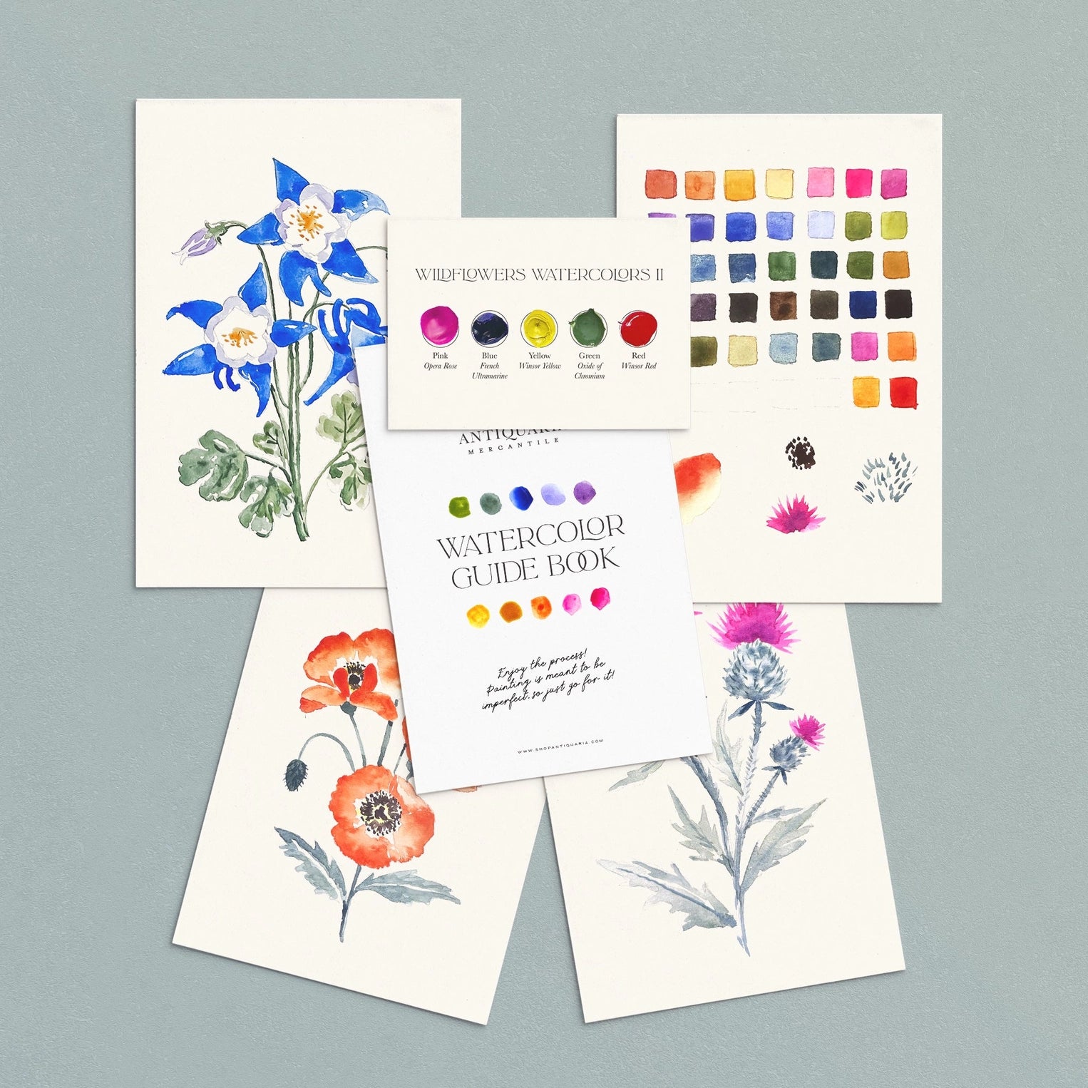 Watercolor Painting Kit : Wildflowers No.2