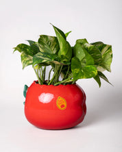 Ceramic Planter - Apple
