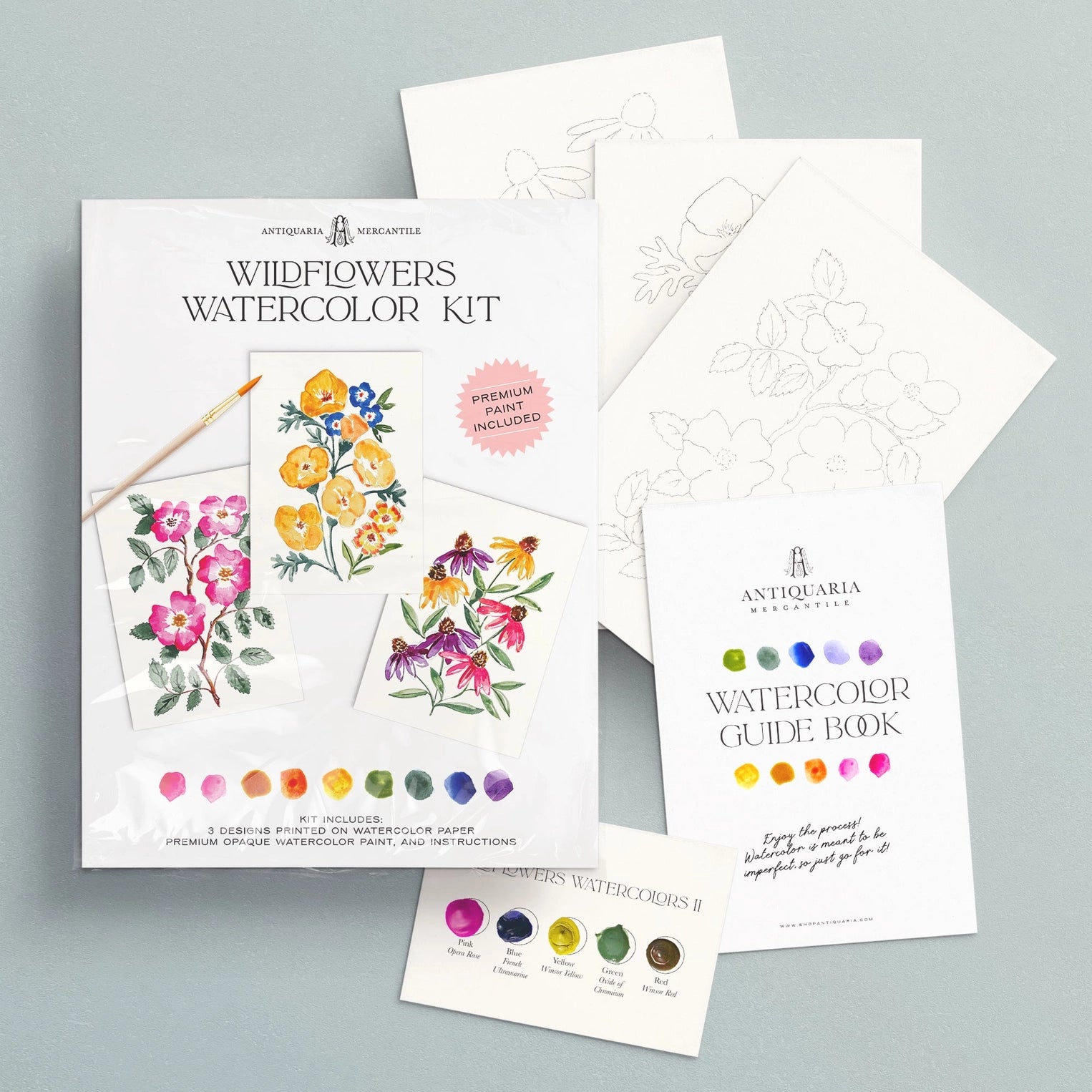 Watercolor Painting Kit : Wildflowers No.1