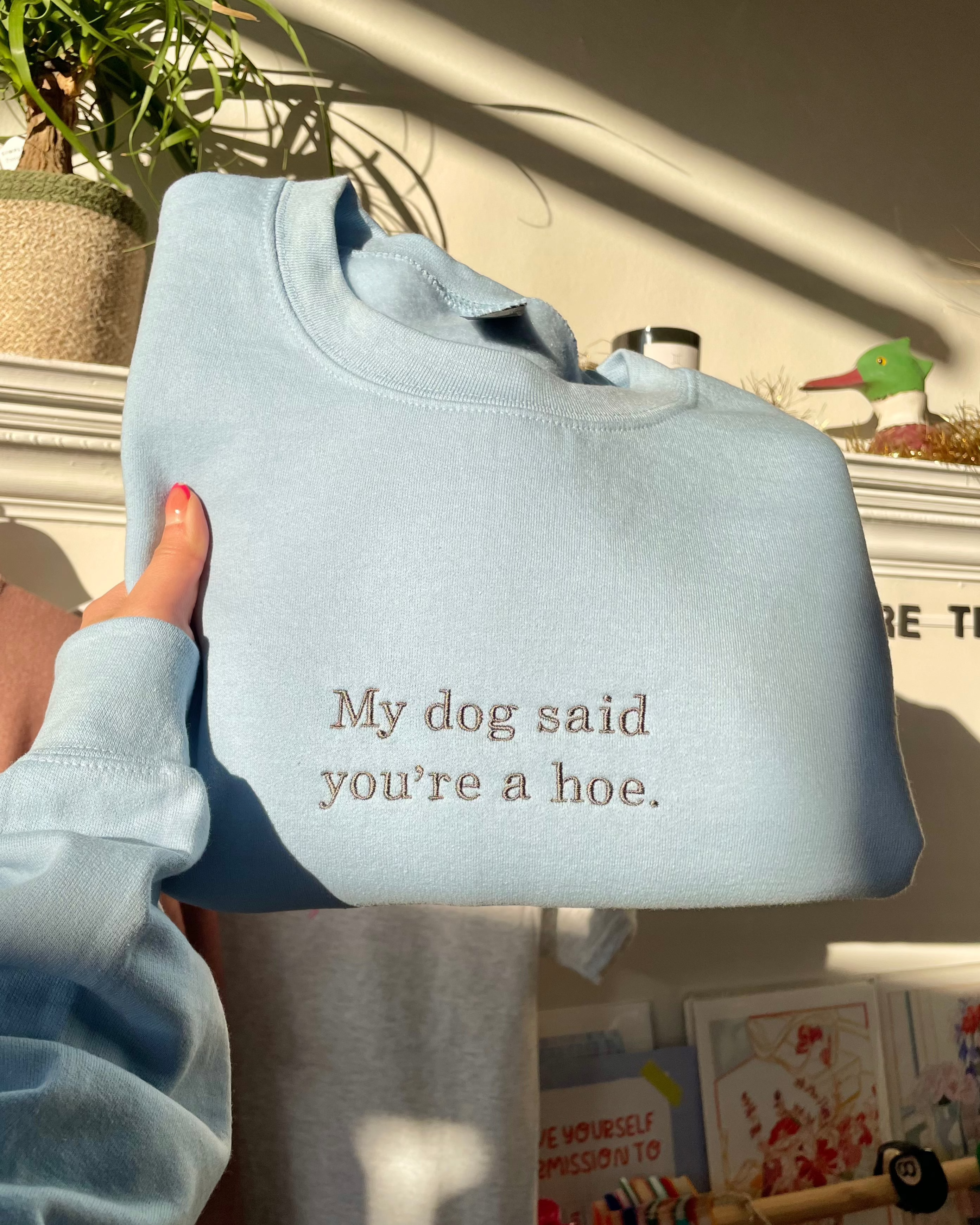 My Dog Said You're A Hoe. Sweatshirt - Light Blue