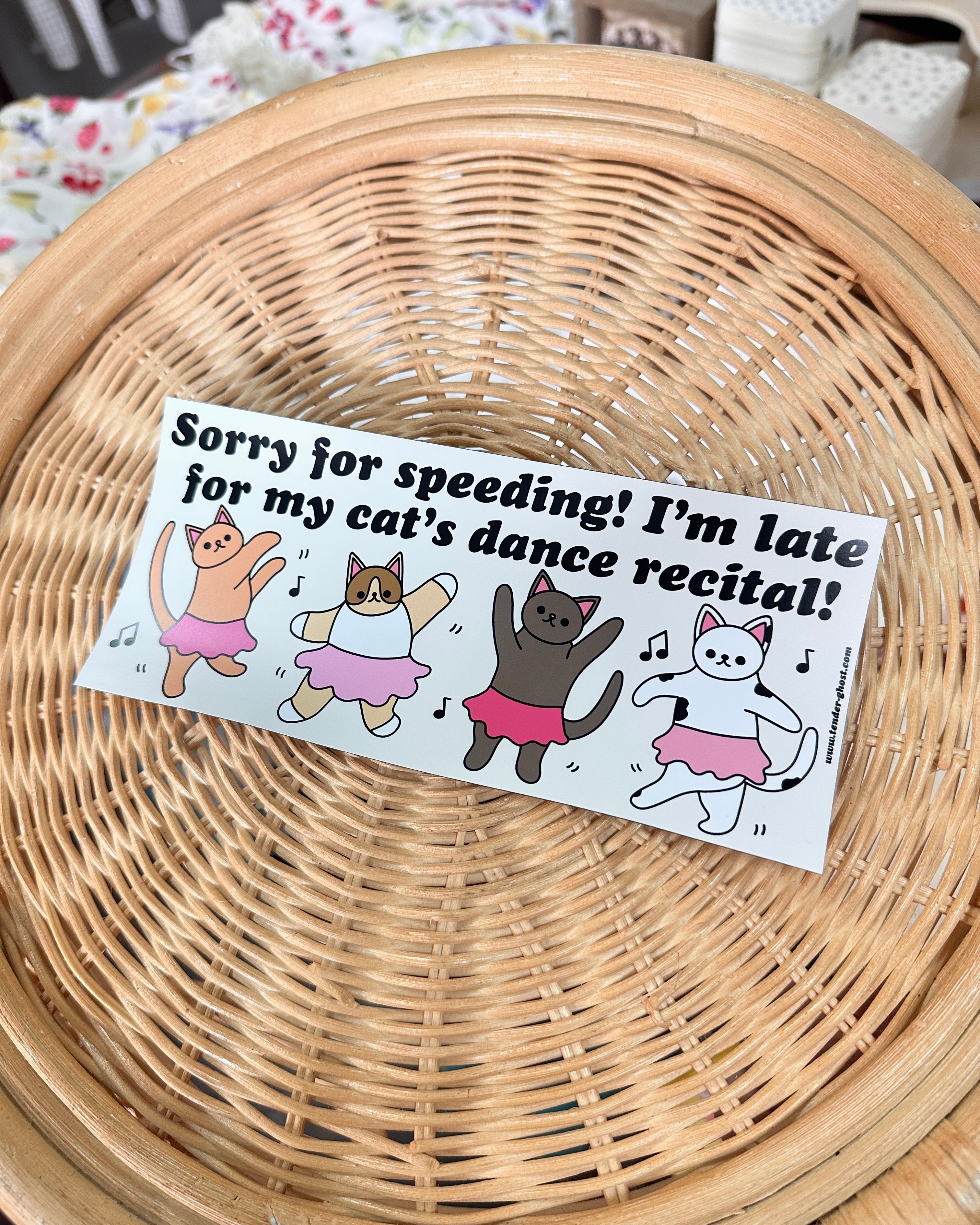 Sorry For Speeding Bumper Magnet