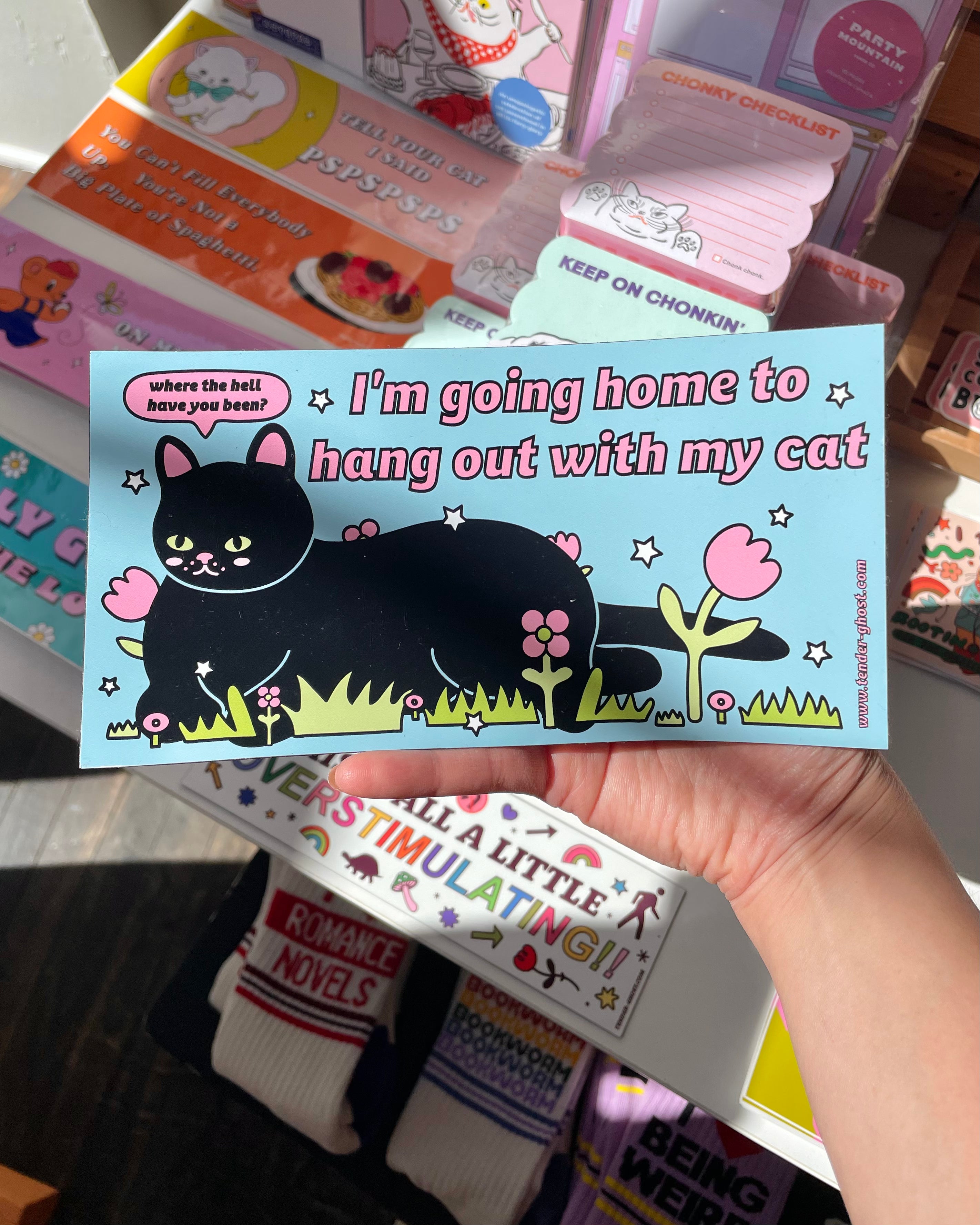 Hang Out with My Cat Bumper Magnet