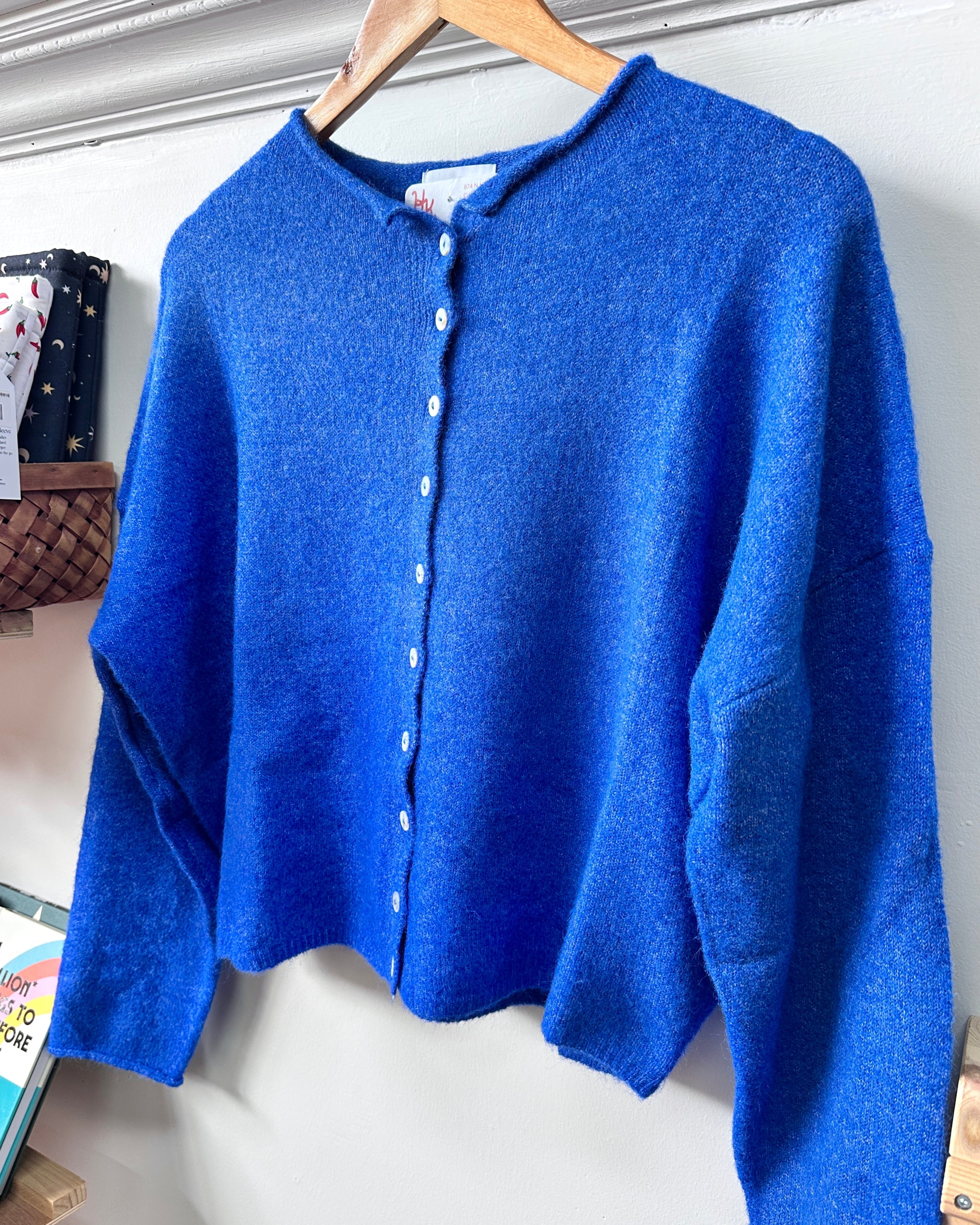 Blue Cardigan