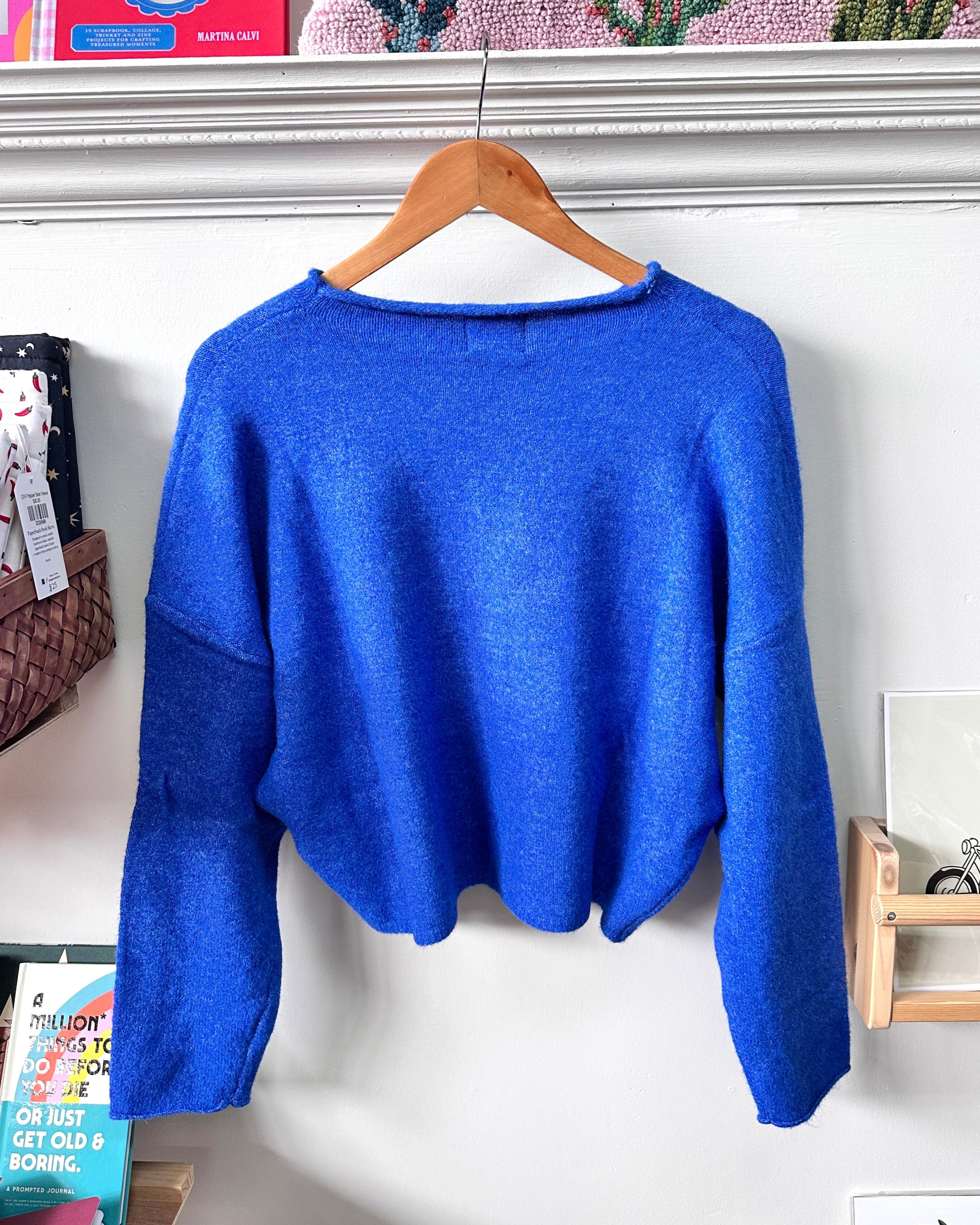 Blue Cardigan