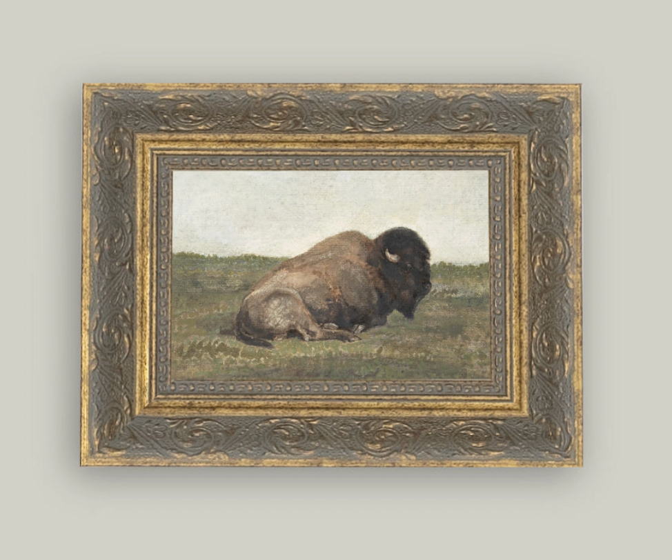 Resting Bison Framed Art - 5x7