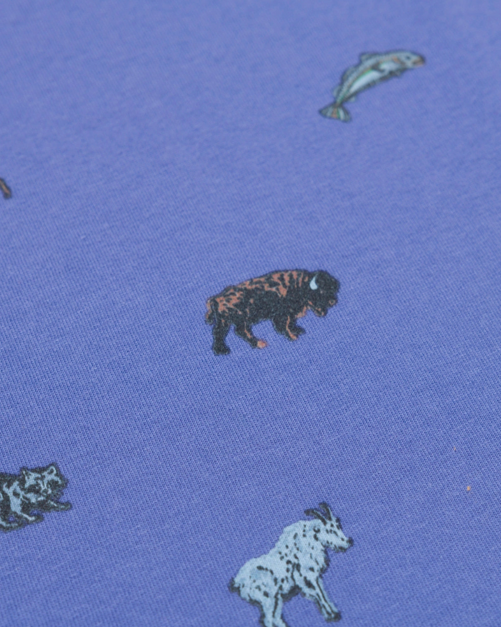 Parks Project Naturalist Club Boxy Tank Top