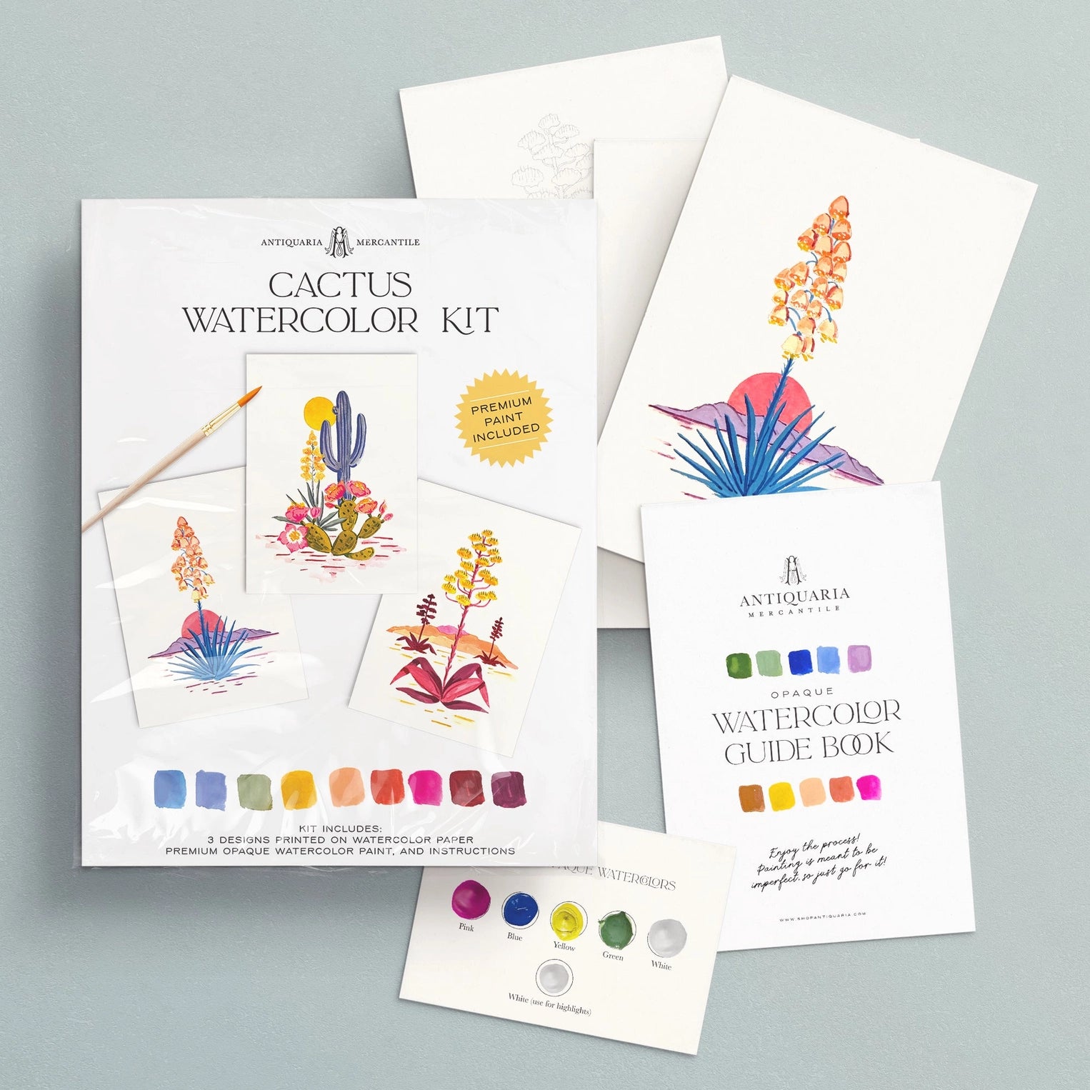 Watercolor Painting Kit : Cactus