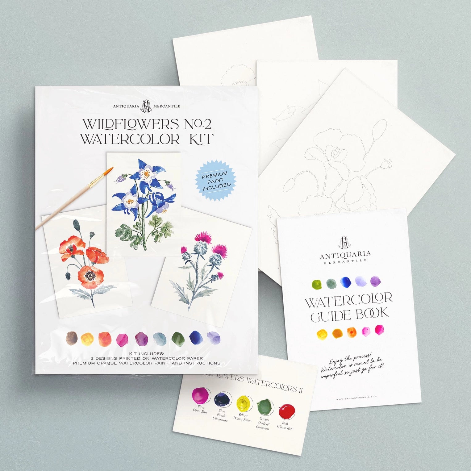 Watercolor Painting Kit : Wildflowers No.2