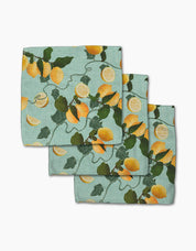 Dish Cloth Set - Lemon