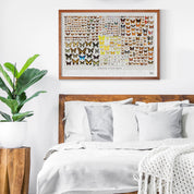 Butterflies of North America Art Print - 36"x24"