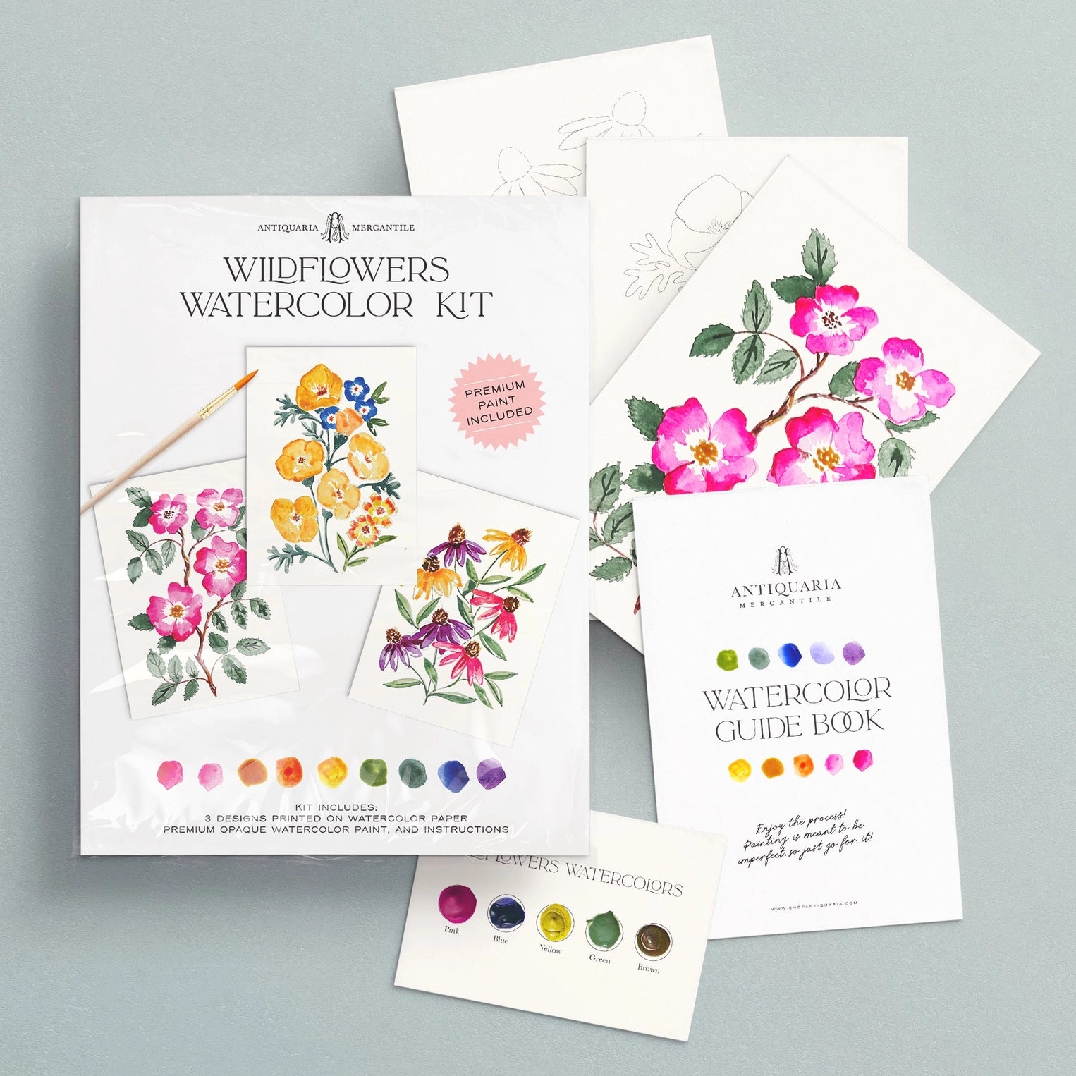 Watercolor Painting Kit : Wildflowers No.1