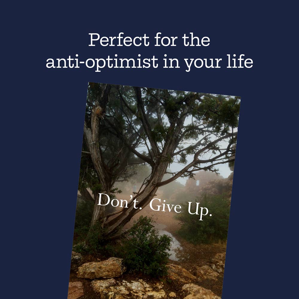 Disappointing Affirmations Book