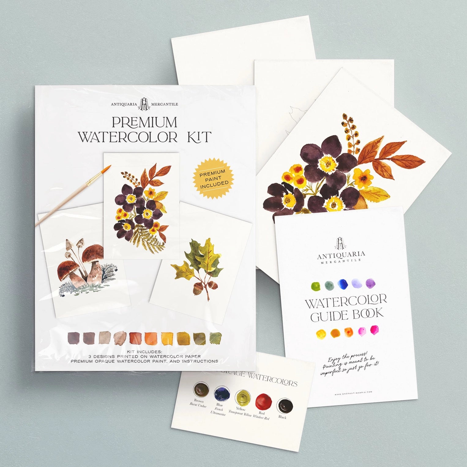 Watercolor Painting Kit : Woodland Botanicals