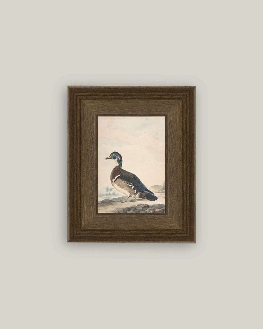 A Duck Framed Antique Art - 5x7