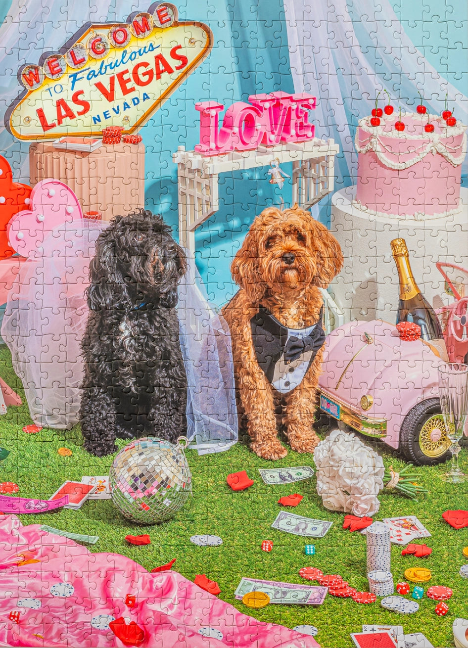 Puppy Love 500 Piece Puzzle