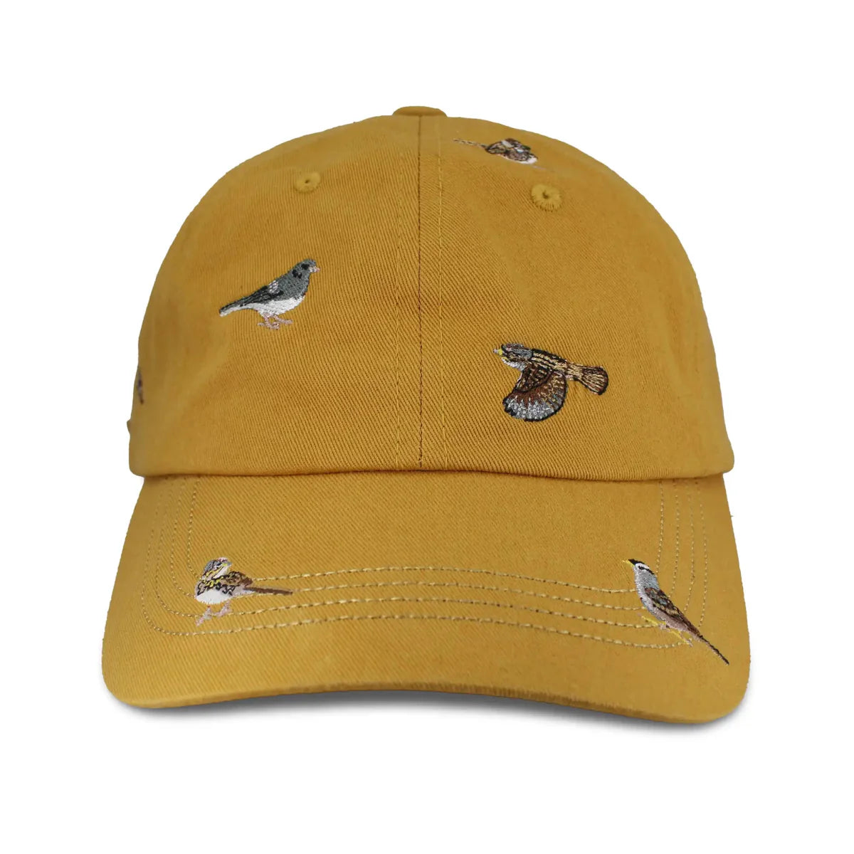 sparrows-hat-977562_1296x_1.webp