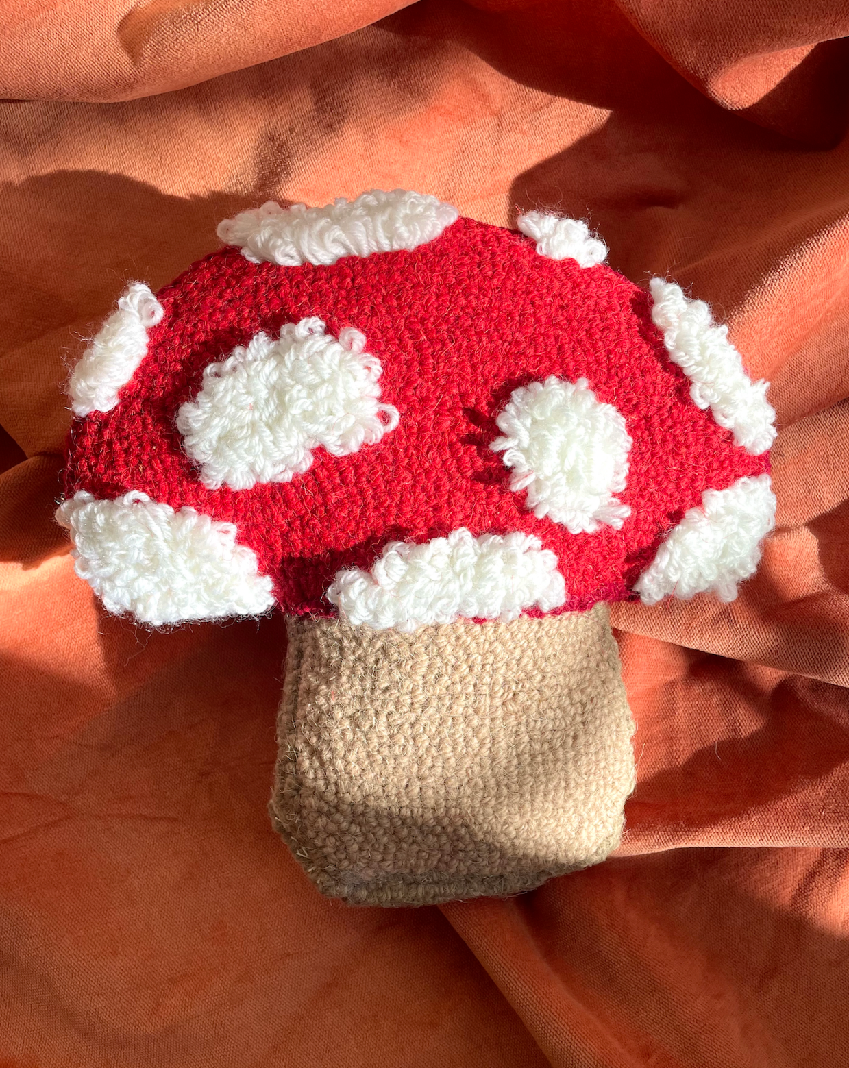 Mushroom Wool Hook Throw Pillow